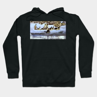 Emperor Penguins Hitting The Water Hoodie